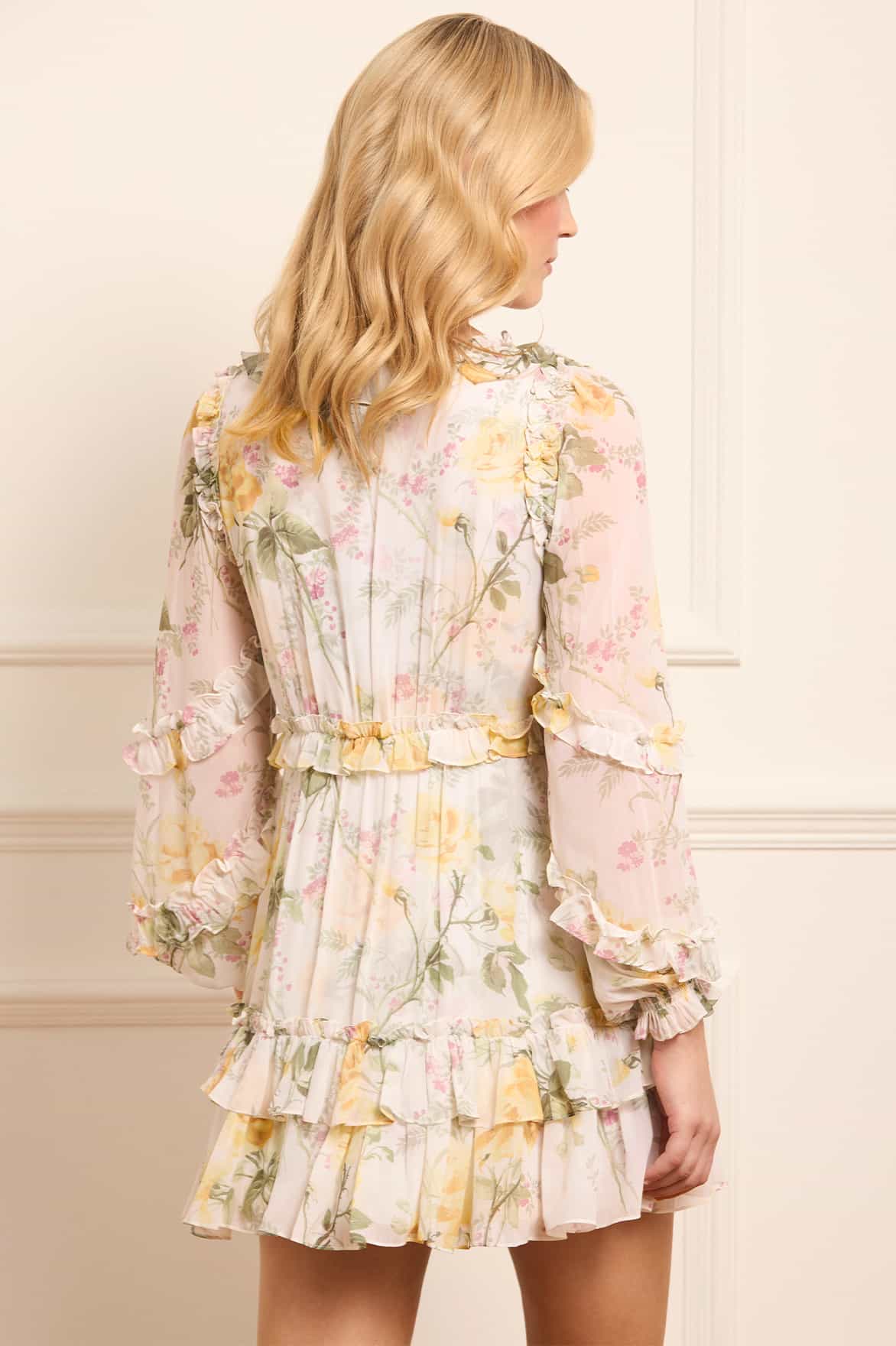 Rose Chiffon Long Sleeve Micro Mini Dress